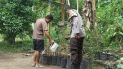 Langkah Nyata Polsek Batulayar Dukung Ketahanan Pangan Rumah Tangga