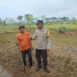 Sinergi Polri dan Warga Desa Montong Are Wujudkan Swasembada Pangan