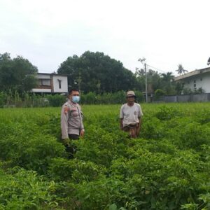 AIPTU Dodit Galakkan Tanam Pangan Bergizi di Desa Jagaraga