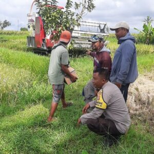 Dukung Ketahanan Pangan, Bhabinkamtibmas Kediri Bantu Pendataan Lahan Jagung