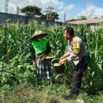 Polsek Labuapi Edukasi Warga Desa Jerneng untuk Perkuat Ketahanan Pangan