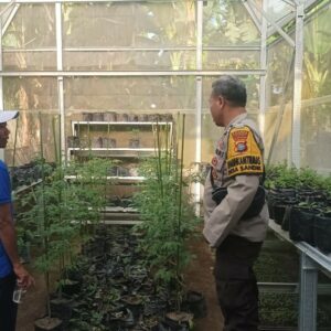 Polisi Aktif Bina Ketahanan Pangan di Dusun Aik Are