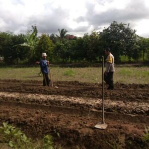 Sinergi Petani dan Polisi di Lombok Barat Perkuat Swasembada Pangan
