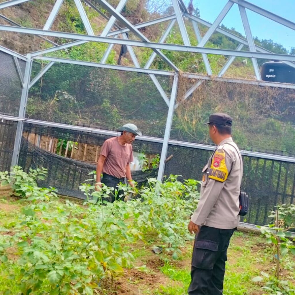 Bhabinkamtibmas Desa Mantun Dampingi Pengelolaan Pekarangan Pangan Bergizi