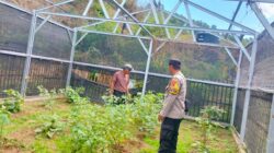 Bhabinkamtibmas Desa Mantun Dampingi Pengelolaan Pekarangan Pangan Bergizi