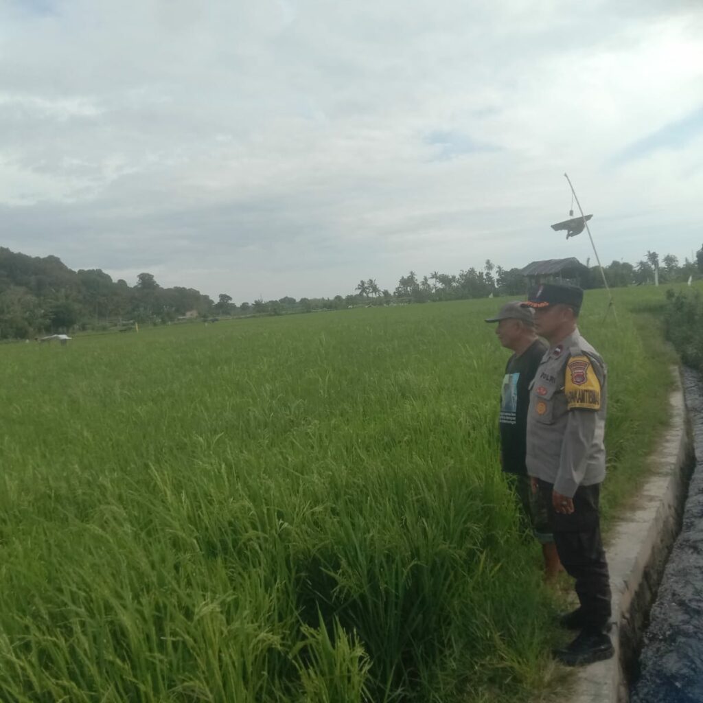 Bhabinkamtibmas Desa Rhee Dukung Ketahanan Pangan dengan Memotivasi Warga Manfaatkan Pekarangan