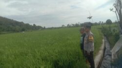 Bhabinkamtibmas Desa Rhee Dukung Ketahanan Pangan dengan Memotivasi Warga Manfaatkan Pekarangan