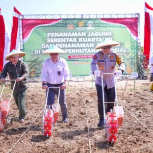 Kapolda Jabar Tanam Jagung Serentak di Sumedang, Dukung Kemandirian Pangan dan Kesejahteraan Petani