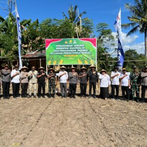 Penanaman Jagung Serentak Kuartal III dan Lahan Perhutanan Sosial Dukung Ketahanan Pangan di Sumbawa