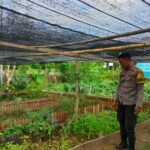 Bhabinkamtibmas Desa Bangkat Monteh Dampingi Warga Tanam Pekarangan Bergizi Dukung Program Swasembada Pangan