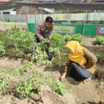 Bhabinkamtibmas Desa Sekongkang Atas Dampingi Warga Kelola Pekarangan Pangan Bergizi