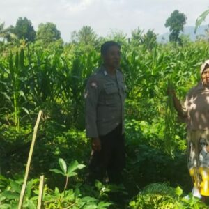 Perkuat Kamtibmas dan Ketahanan Pangan, Polsek Kediri Hadir di Tengah Sawah