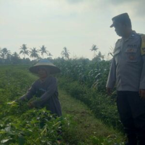 Bhabin Montong Are Garda Ketahanan Pangan dan Kamtibmas