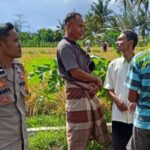 Sinergi Petani dan Polisi di Lombok Barat, Ketahanan Pangan Jadi Prioritas