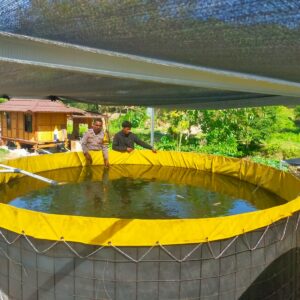 Bhabinkamtibmas Desa Tongo Dampingi Warga Kelola Pekarangan Pangan Bergizi