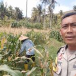 Kunjungan Humanis Bhabinkamtibmas di Dusun Tibu Baru, Dukung Pertanian Berkelanjutan