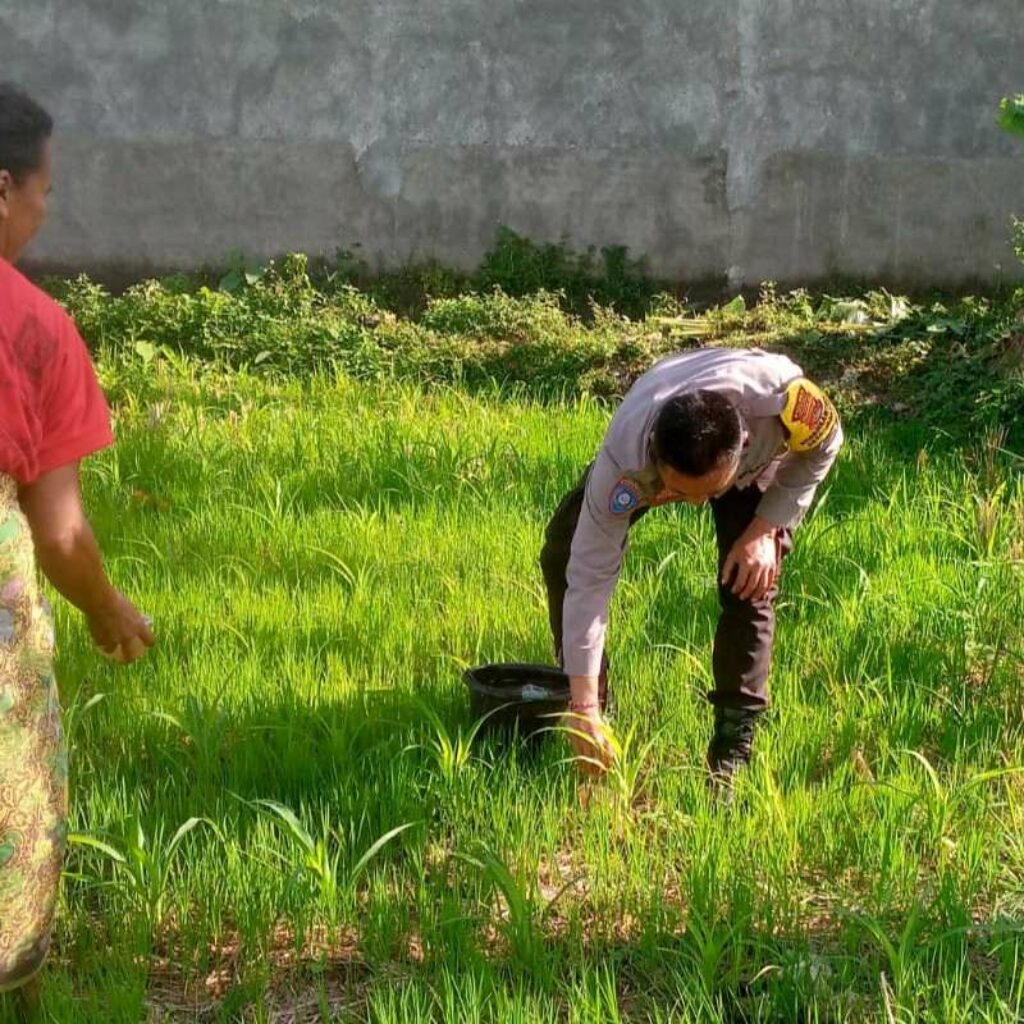 Polri di Lombok Barat Gencarkan Pemanfaatan Lahan Tidur untuk Ketahanan Pangan