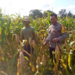 Satu Lahan, Banyak Manfaat: Ketahanan Pangan Dimulai dari Pekarangan di Tambang Eleh
