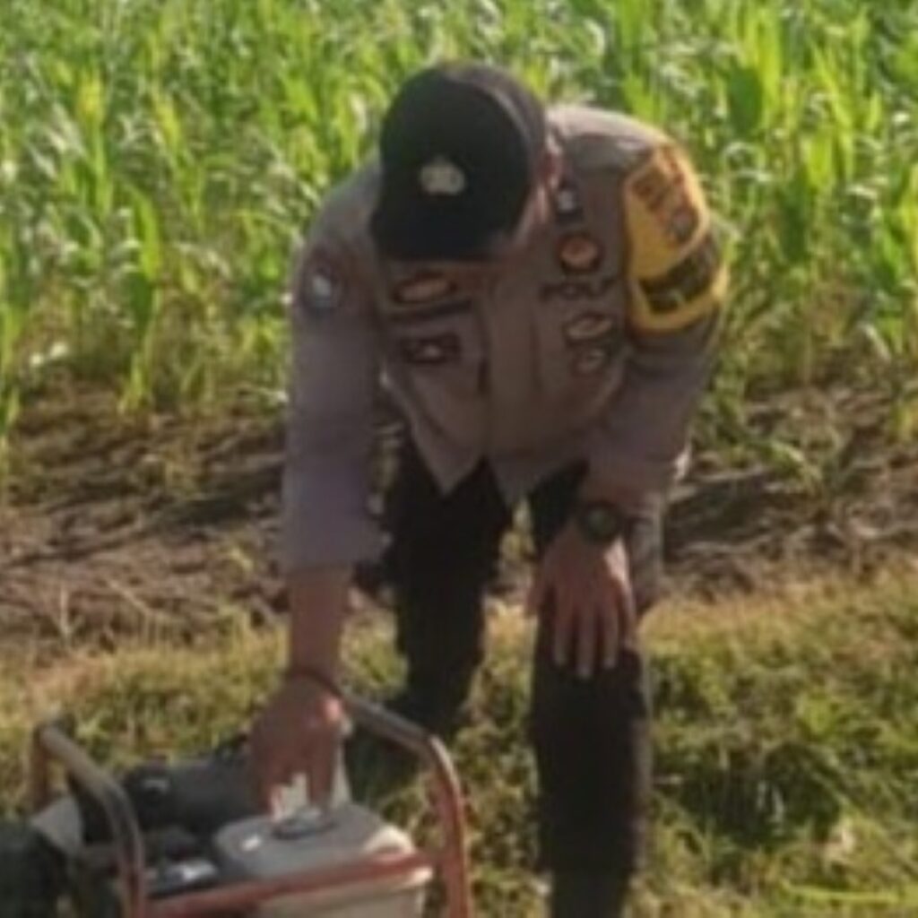 Bhabinkamtibmas Karang Bongkot Dukung Petani Jagung Manis Eksotik Lombok Barat