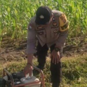 Petani Jagung Manis Karang Bongkot Dapat Dukungan Kepolisian untuk Ketahanan Pangan