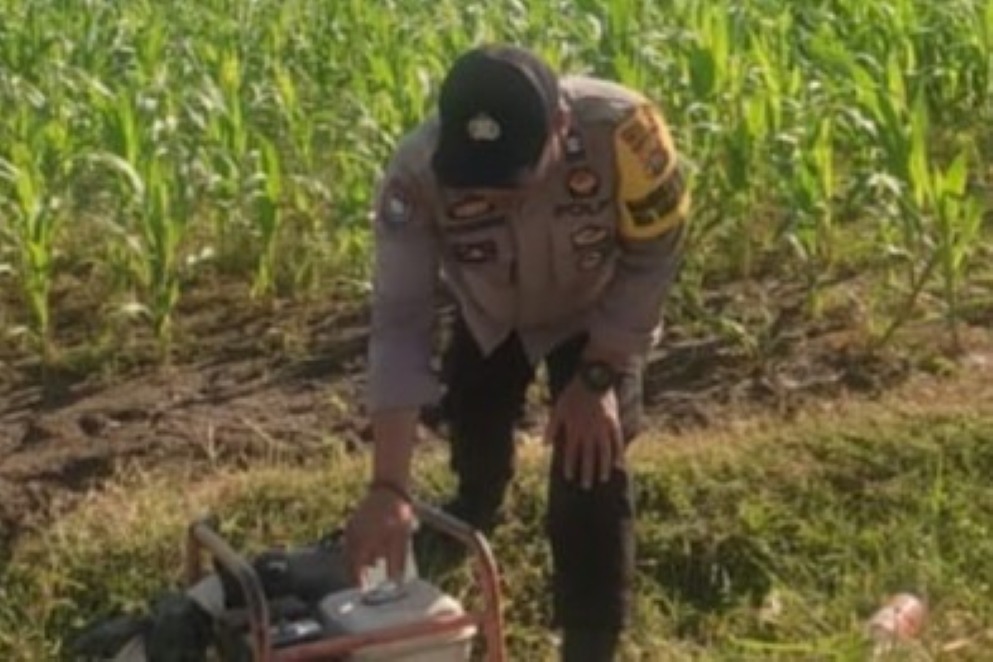 Bhabinkamtibmas Karang Bongkot Dukung Petani Jagung Manis Eksotik Lombok Barat