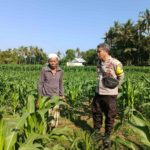 Sinergi Polisi dan Warga Perempung Dukung Program Swasembada Pangan Nasional