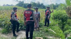 Polisi Lakukan Patroli Tanam Jagung di Dusun Kelebut untuk Dukung Swasembada Pangan