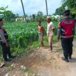 Patroli Ketahanan Pangan di Kecamatan Gerung: Dukungan Polri untuk Petani Jagung