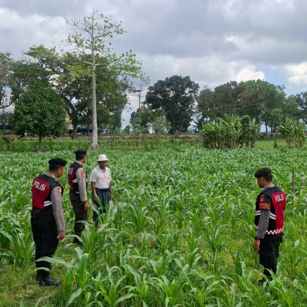 olres Lombok Barat Dampingi Petani Gerung Utara Wujudkan Swasembada Pangan