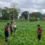 Polres Lombok Barat Dampingi Petani Gerung Utara Wujudkan Swasembada Pangan