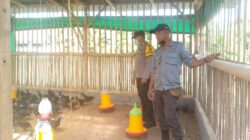 Ketahanan Pangan Dimulai dari Desa: Inisiatif Polri di Jagaraga, Kuripan