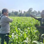 Sinergi Polri dan Warga Sandik Kembangkan Pertanian Pekarangan