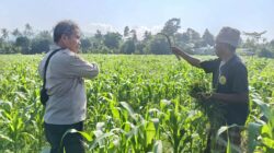 Polsek Batulayar Ajak Masyarakat Perempung Maksimalkan Lahan untuk Ketahanan Pangan