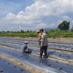 Polri dan Warga Montong Are Bersinergi Wujudkan Swasembada Pangan