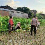 Polri Turun ke Sawah: Bhabinkamtibmas Sosialisasi Ketahanan Pangan di Kuripan Utara