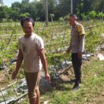 Sinergi Polri dan Petani Batu Putih Perkuat Ekonomi Lokal Sekotong