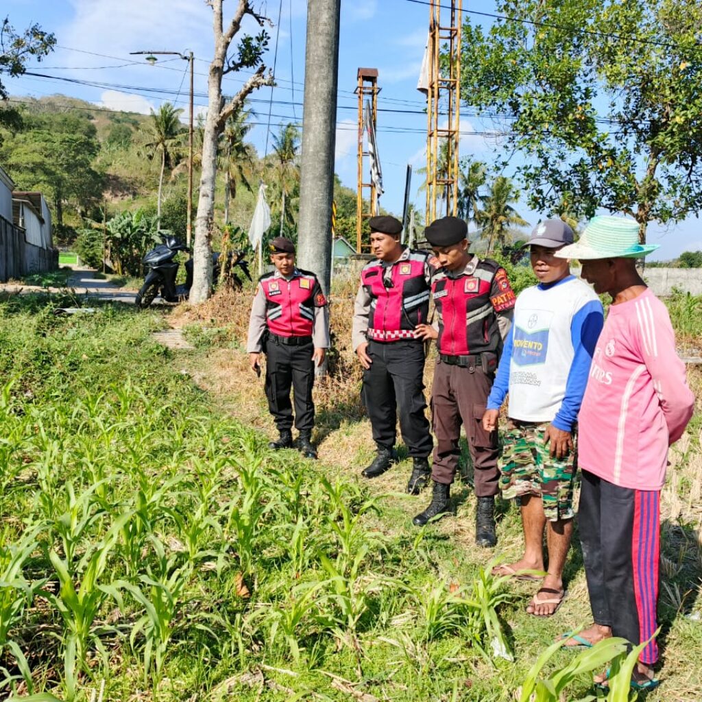 Polri Hadir Bantu Petani Jagung Wujudkan Swasembada di Lombok Barat