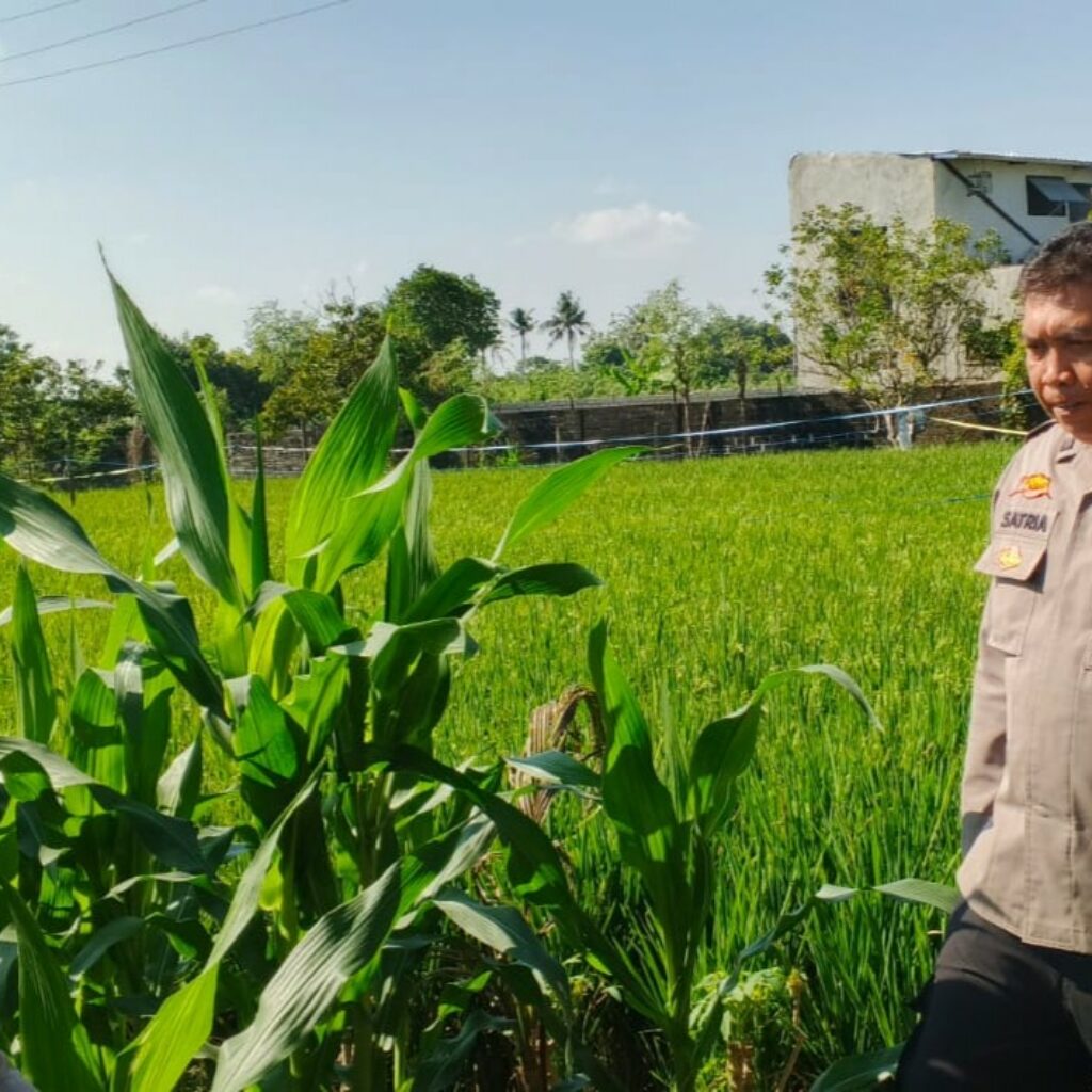 Bhabinkamtibmas Telagawaru Edukasi Petani Soal Lahan Pekarangan Bergizi