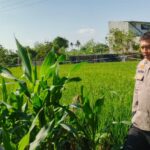 Warga Telagawaru Didorong Tanam Pangan Lokal Demi Kemandirian Gizi