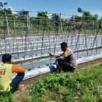 Bhabinkamtibmas Desa Tatar Dampini Warga Dalam Kegiatan Pengelolaan lahan Produktif