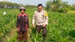 Bhabinkamtibmas Desa Jagaraga Dorong Petani Manfaatkan Lahan untuk Ketahanan Pangan
