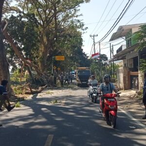 Polsek Pemenang Laksanakan Pengamanan Jalur Penebangan Pohon dan Gotong Royong Bersama Masyarakat