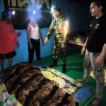 Rumah Panggung di Jurumapin Terbakar, Satu Orang Meninggal Dunia