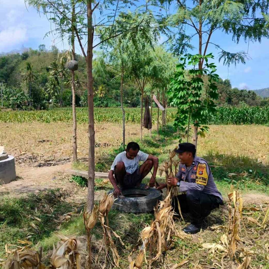 Dukung Ketahanan Pangan, Bhabinkamtibmas Lembar Beri Semangat Petani Jagung di Eyat Mayang