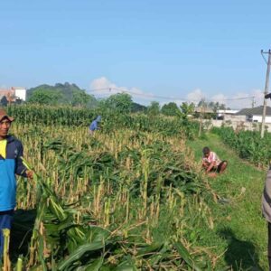 Bhabinkamtibmas Labuapi Ajak Warga Karang Bongkot Sulap Pekarangan Jadi Lumbung Pangan