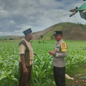 Bripka Heri Laksanakan Pemantauan Lahan untuk Perkuat Ketahanan Pangan Masyarakat