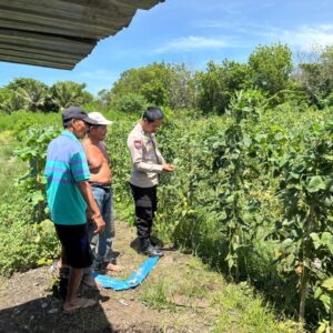perkuat kolaborasi demi terwujudnya ketahanan pangan