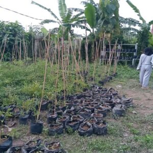 Polisi Batulayar Ajak Warga Meninting Tanam Sayur di Lahan Tidur