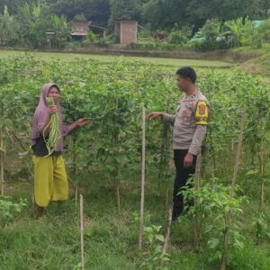 BHABINKAMTIBMAS DESA MANEMENG LAKUKAN PENDAMPINGAN PENGELOLAAN PEKARANGAN PANGAN BERGIZI