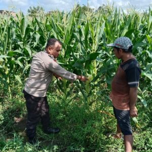 Bhabinkamtibmas Labuapi Dorong Warga Lombok Barat Tanam Mandiri